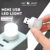 Portable USB LED Light Soft Light Eye Protection Night Light 2 LED 5V
