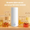 300ml Portable Electric Kettle Thermal Cup Coffee Travel Water Boiler Temperature Control Kettle